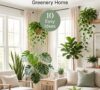 12 Easy Ways to Bring More Greenery Into Your Home